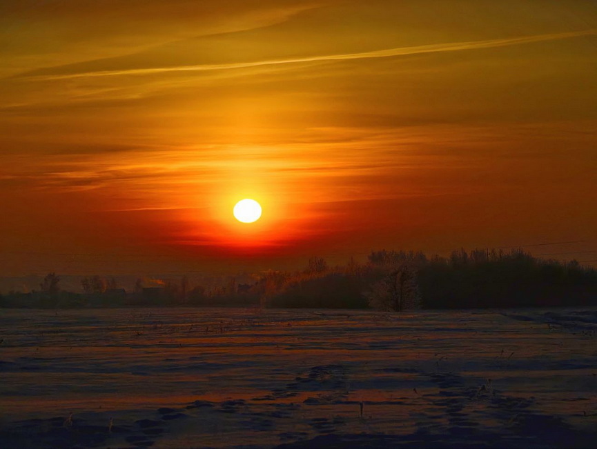 1-photo_2026-01-20_10-44-03.jpg 1-photo_2026-01-20_10-44-03.jpg