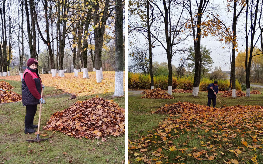 photo_2025-10-25_15-11-58.jpg photo_2025-10-25_15-11-58.jpg