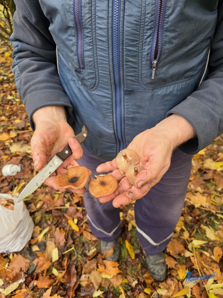 photo_2025-10-29_12-44-24.jpg photo_2025-10-29_12-44-24.jpg