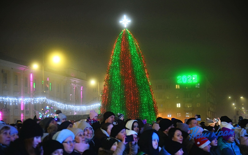 novyj-god-2026-(29).JPG