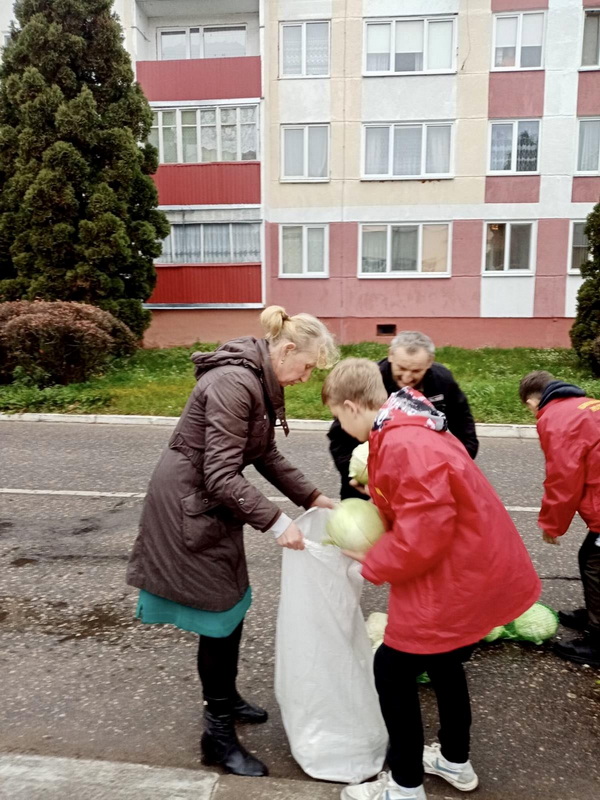 volontery-otryada-help-mirskoj-ssh-v-ramkakh-akcii-my-vybiraem-pomoshch-pozhilym-lyudyam-pomogali-pensioneram-dostavit-selskokhozyajstvennuyu-produkciyu-domoj-_2.jpg