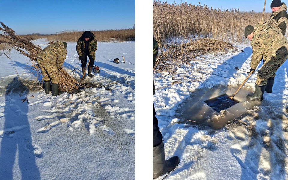 photo_2026-02-11_14-56-573.jpg photo_2026-02-11_14-56-573.jpg