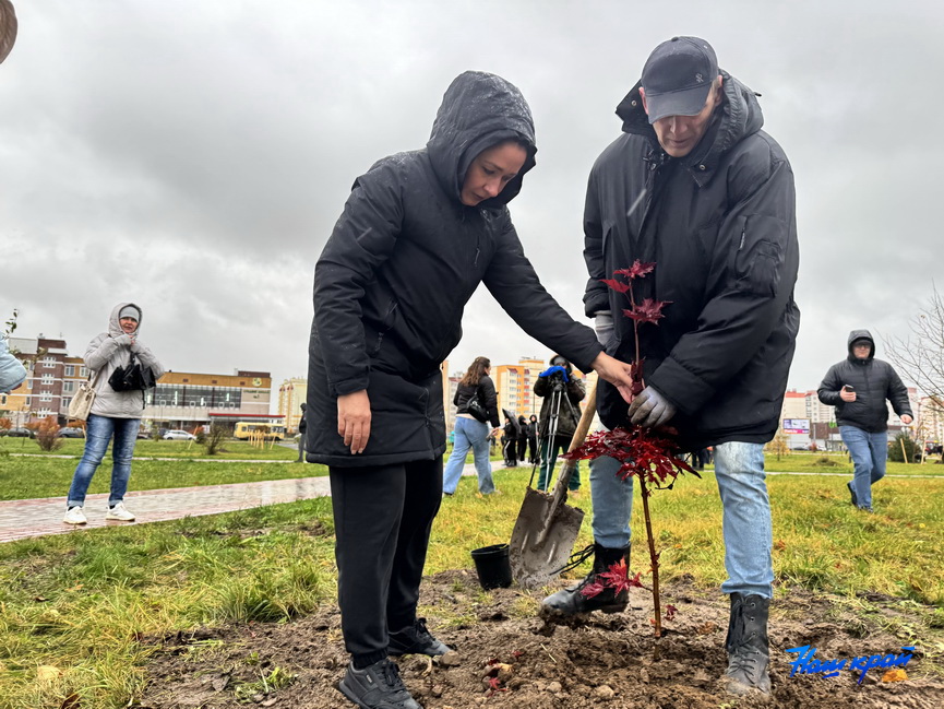 subbotnik-(3).jpeg subbotnik-(3).jpeg