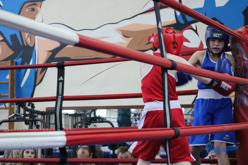 boks-_0561 (18).jpeg