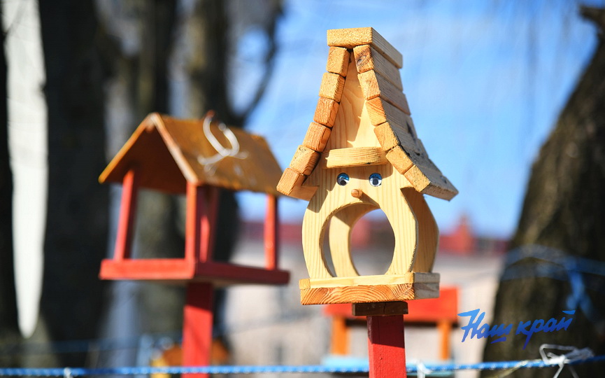 pogoda-mart- (6).JPG