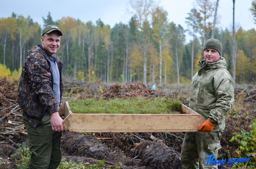 les-(26).jpg les-(26).jpg