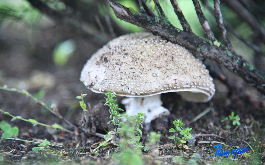 maj-pogoda- (13).JPG