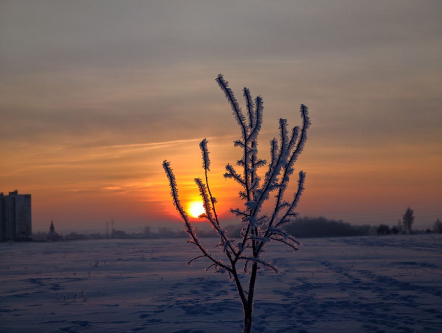 1-photo_2026-01-20_10-44-10.jpg 1-photo_2026-01-20_10-44-10.jpg
