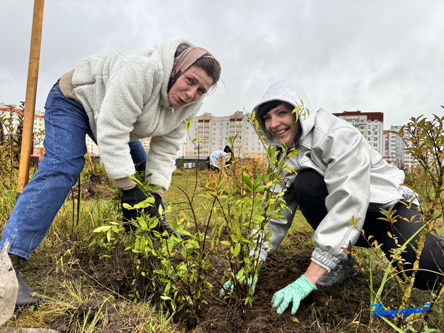 subbotnik-(8).jpeg subbotnik-(8).jpeg