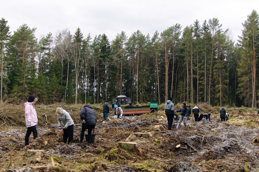 0273_resized.jpg 0273_resized.jpg