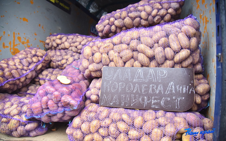 yarmarka-v-centre-baranovichej_26.JPG