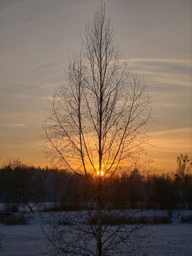 photo_2026-01-19_20-08-22.jpg photo_2026-01-19_20-08-22.jpg