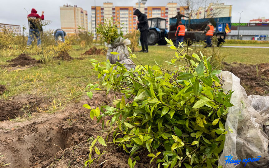 subbotnik-(19).jpg subbotnik-(19).jpg