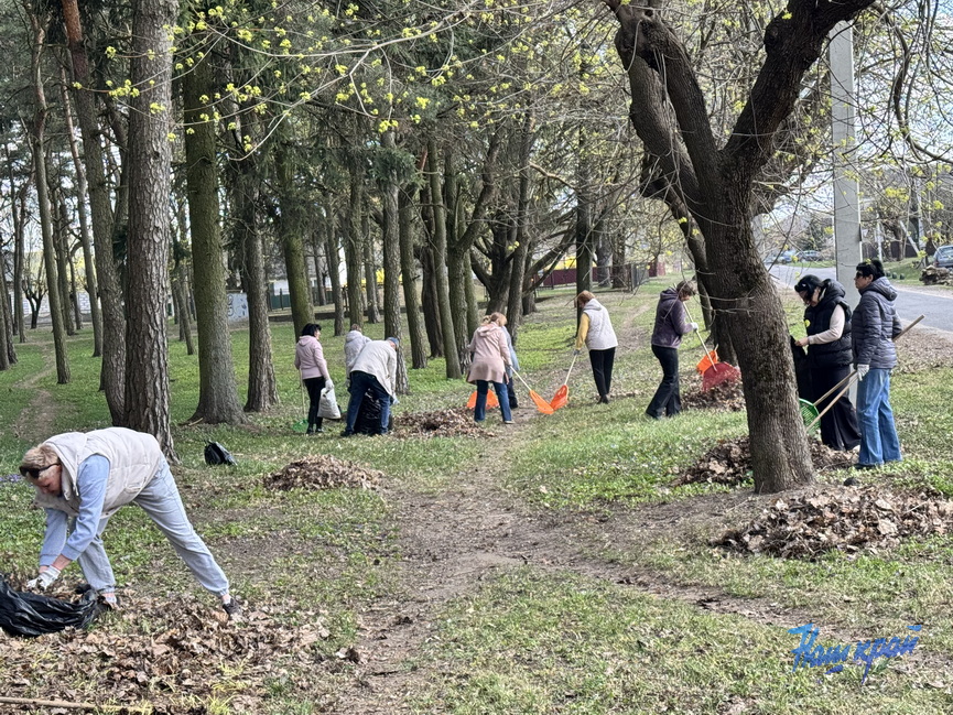 _5415 (1).jpeg _5415 (1).jpeg