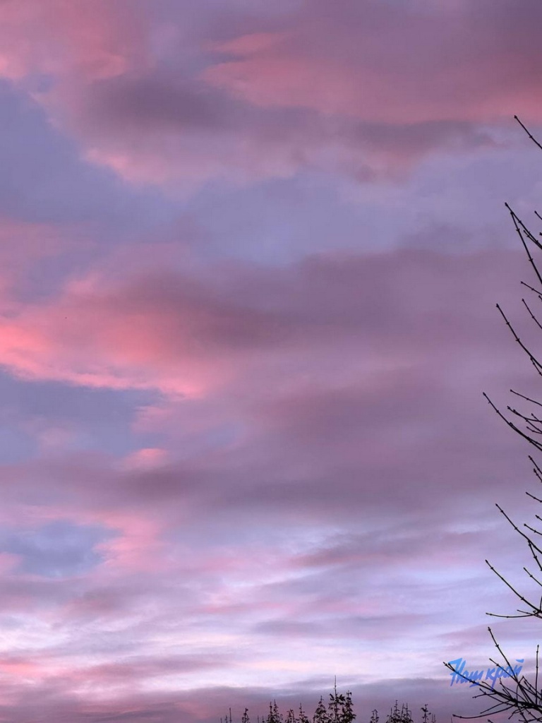 photo_2025-11-06_17-46-23.jpg photo_2025-11-06_17-46-23.jpg