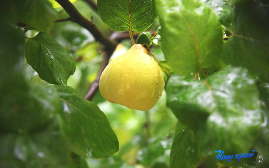 pogoda-osen-(17).JPG