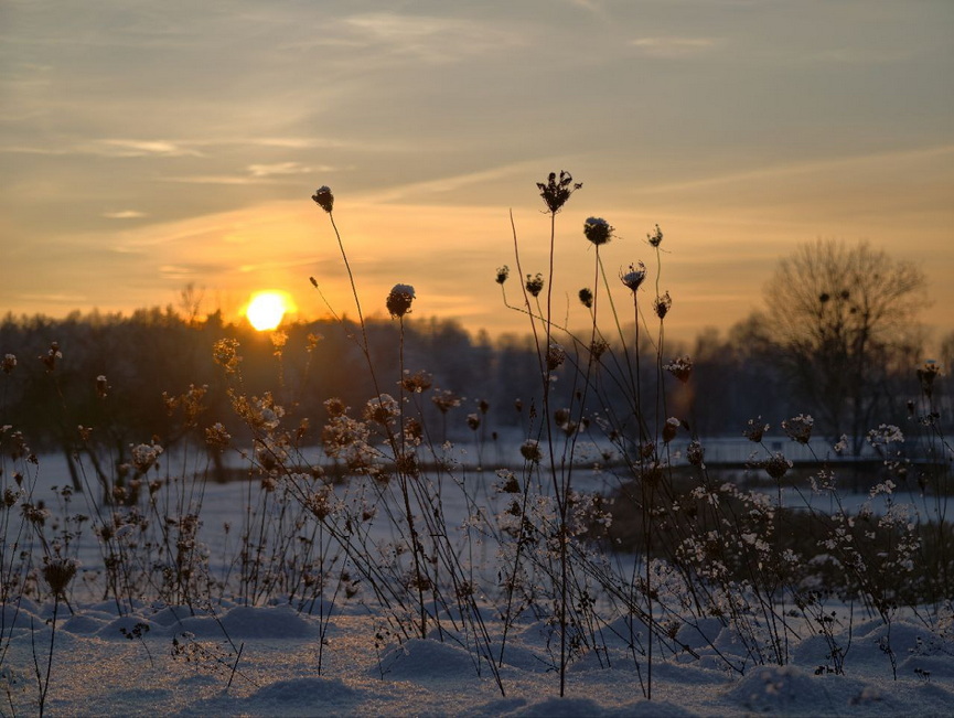 photo_2026-01-19_18-30-31.jpg photo_2026-01-19_18-30-31.jpg