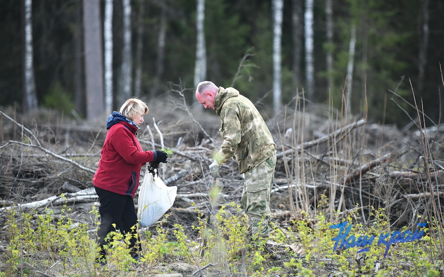 subbotnik-_3748 (16).JPG