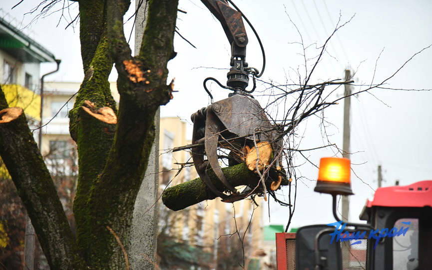 derevjya-obrezka (3).JPG