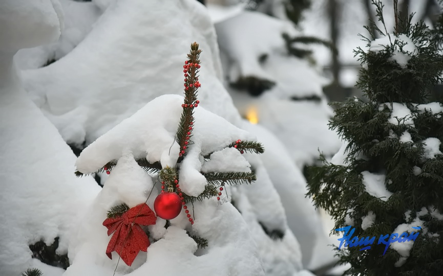 pogoda-yanvar-zima_5351 (4).JPG