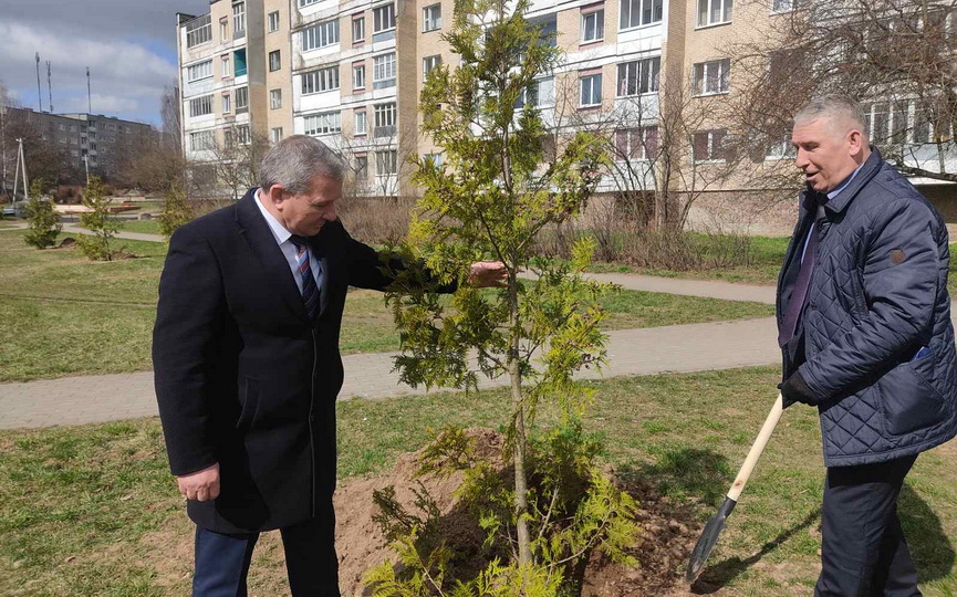 alleyu-pamyati-na-bulvare-karvata-v-baranovichakh-zalozhili-profsoyuzy.jpg