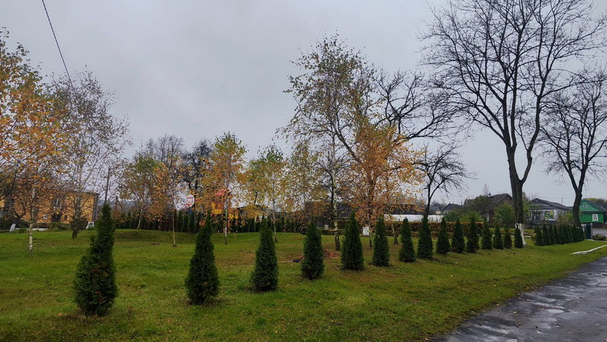 photo_2025-10-25_16-11-05_новый размер.jpg photo_2025-10-25_16-11-05_новый размер.jpg