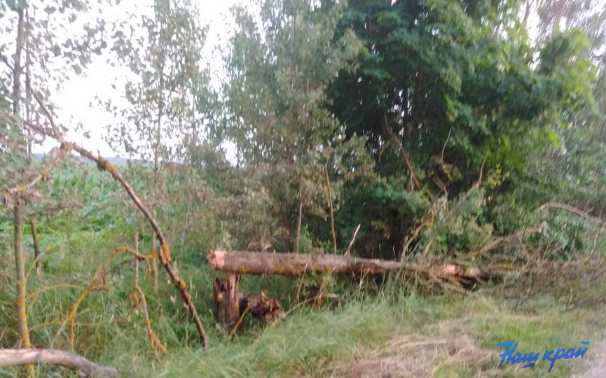 nepogoda-13-07_8.jpg