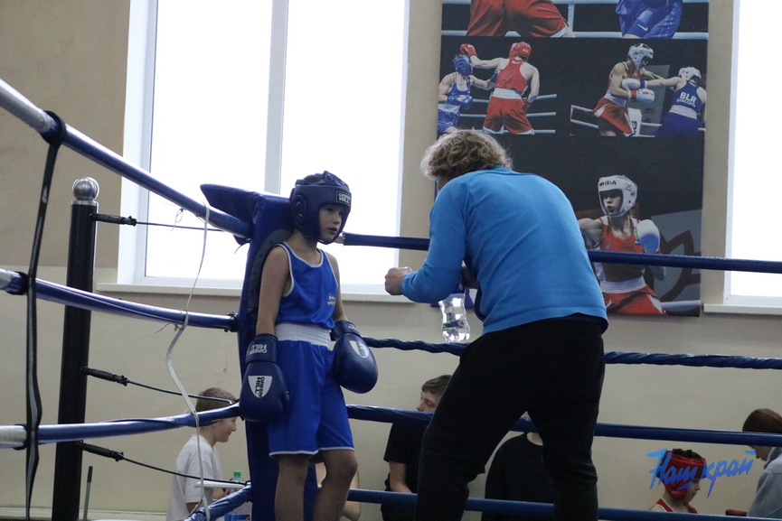 boks-_0561 (19).jpeg