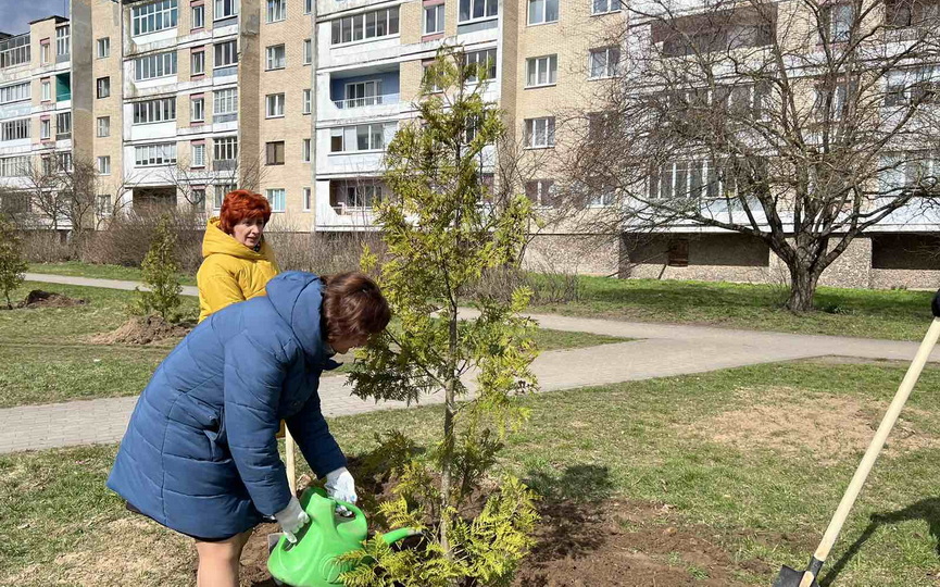 alleyu-pamyati-na-bulvare-karvata-v-baranovichakh-zalozhili-profsoyuzy_3.jpg