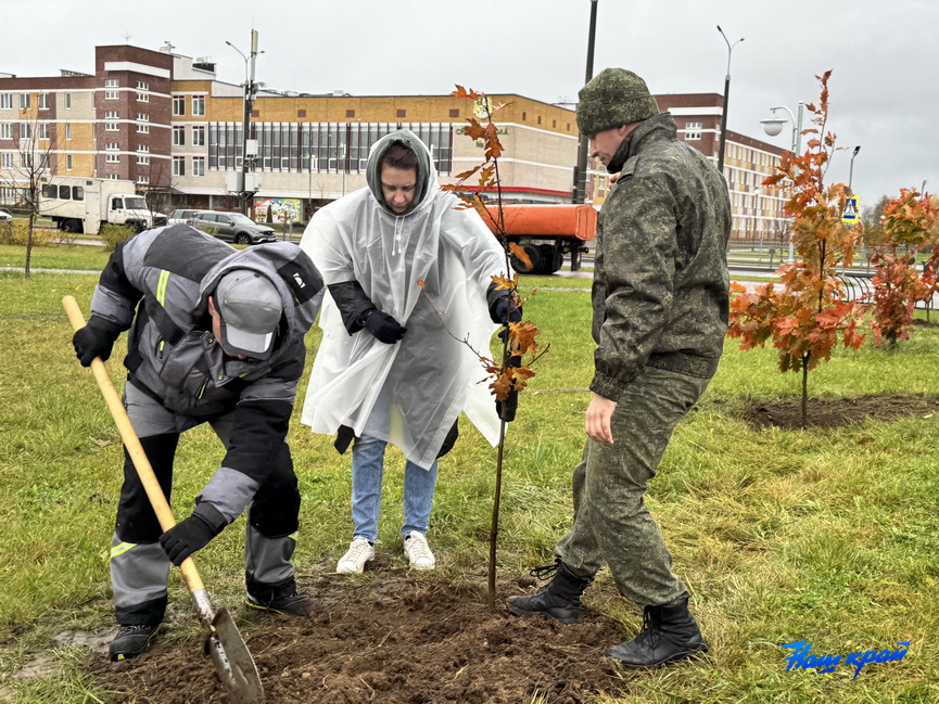 subbotnik-(2).jpeg subbotnik-(2).jpeg