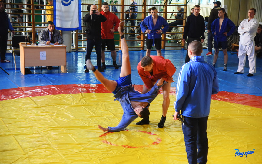 sambo-399393_7.JPG