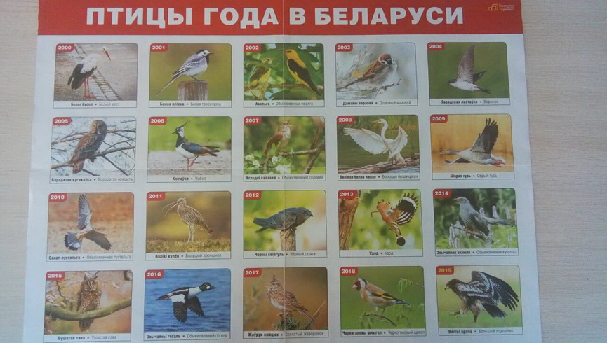 -30-01-tsentr-1.jpg