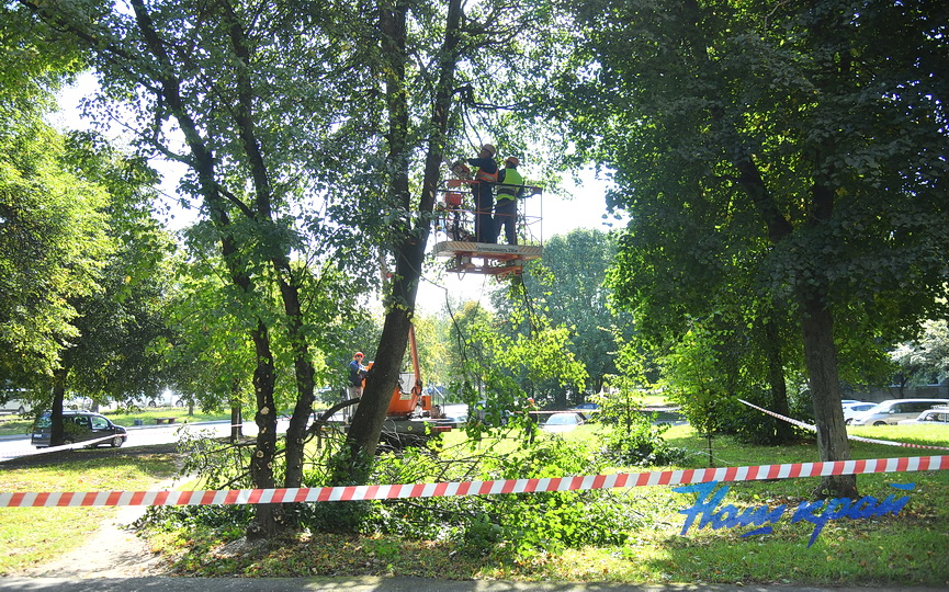 obrezka- (9).JPG