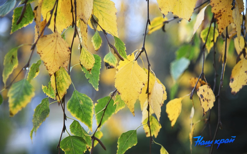 osen-pogoda_0004 (8).JPG