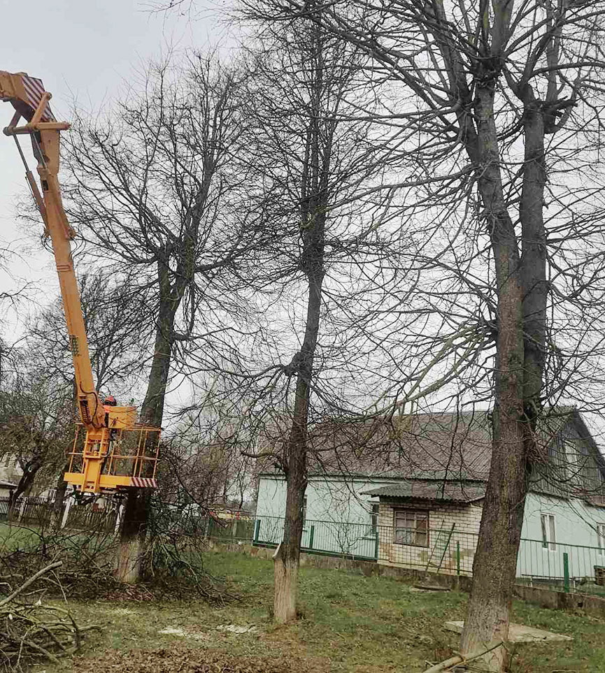 obrezka-derevjev-1.jpg