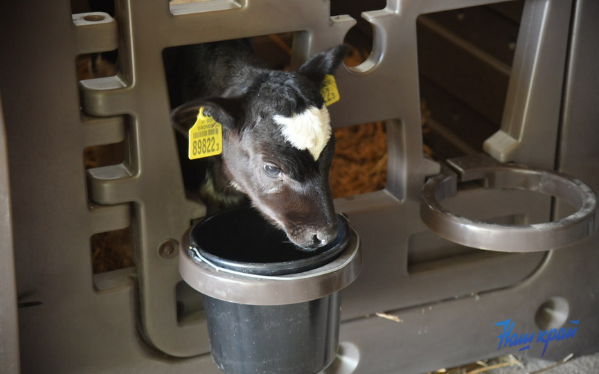 photo_2026-03-05_16-15-12 (8).jpg