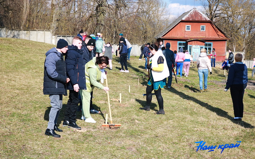 posadka-derevjev-21.JPG