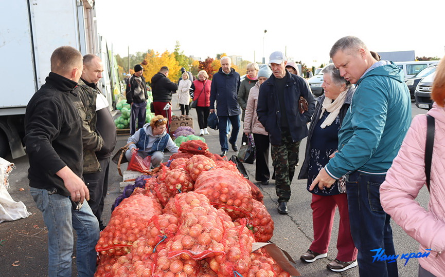 yarmarka-vozle-ledovogo-(28).jpg