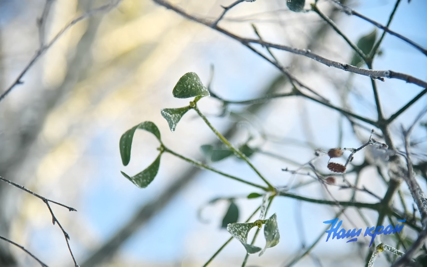 pogoda-19-01 (1).JPG