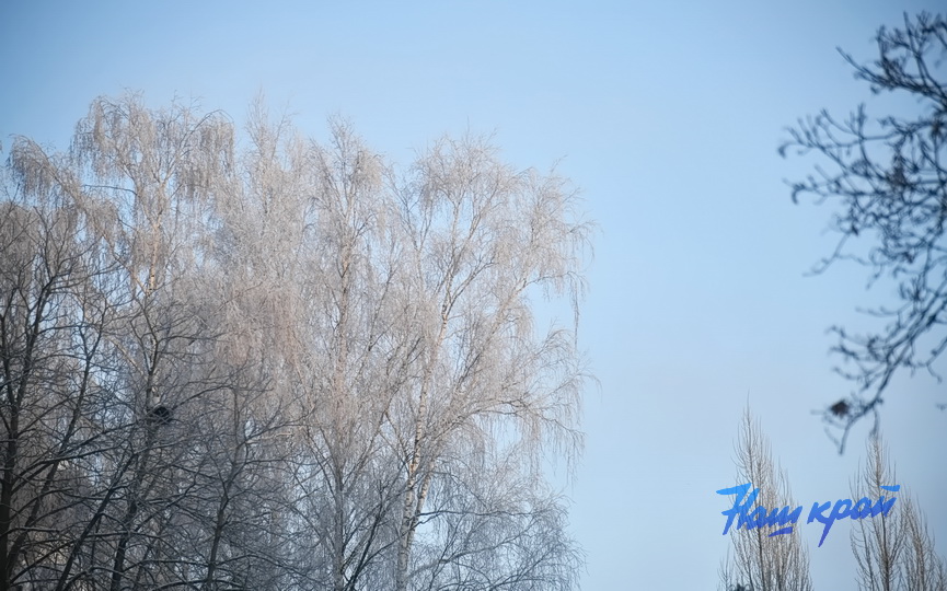 pogoda-zima-18-01 (11).JPG