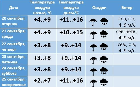 -kogda-zakonchatsya-dozhdi-podrobnyj-prognoz-pogody-na-brestchine-20-25-sentyabrya1.PNG