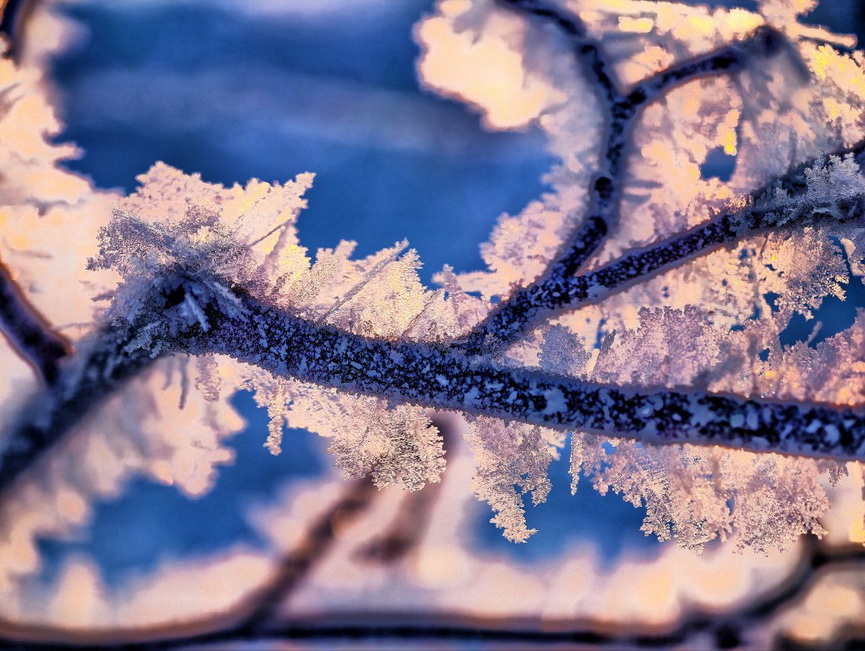 1-photo_2026-01-20_10-44-02.jpg 1-photo_2026-01-20_10-44-02.jpg