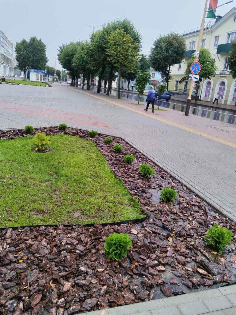 16-07-2025-17-05_3.jpg 16-07-2025-17-05_3.jpg