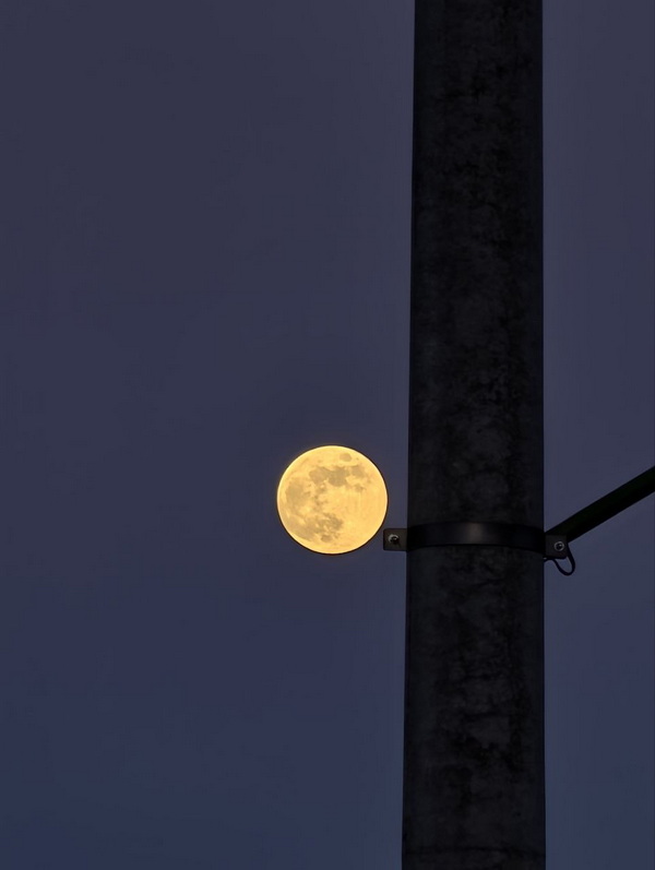 photo_2026-02-01_19-55-02.jpg photo_2026-02-01_19-55-02.jpg