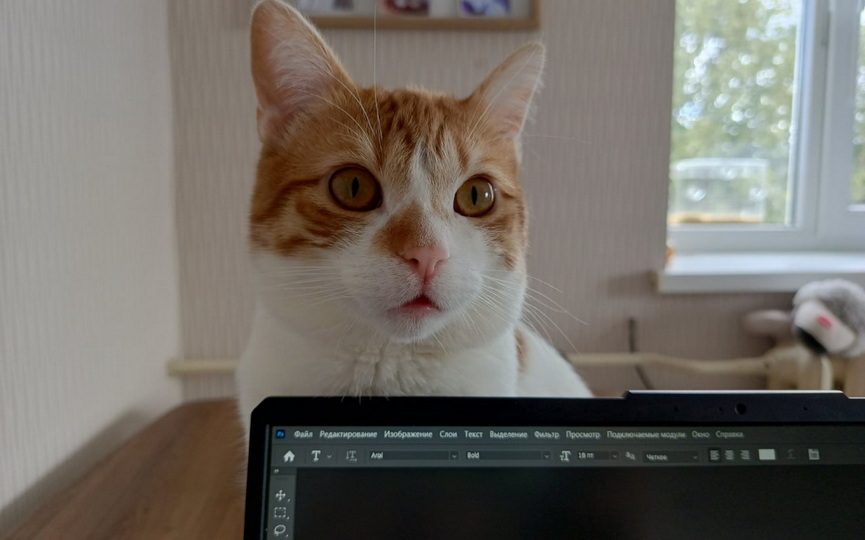 photo_2025-10-16_11-58-59 (4).jpg