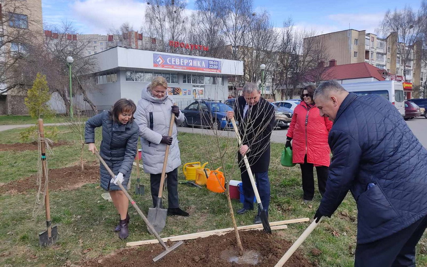 alleyu-pamyati-na-bulvare-karvata-v-baranovichakh-zalozhili-profsoyuzy_1.jpg