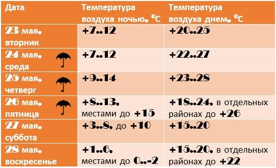 2023-05-22_15-02-33-458.jpg