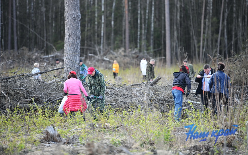 subbotnik-_3748 (15).JPG