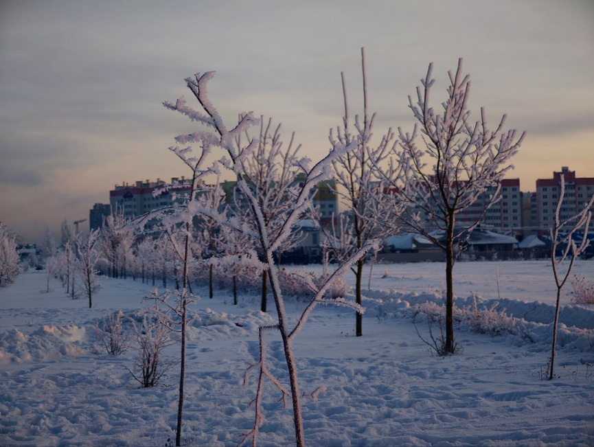 1-photo_2026-01-20_10-44-06.jpg 1-photo_2026-01-20_10-44-06.jpg