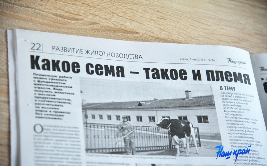 gazeta-_7321 (10).JPG